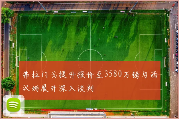 弗拉门戈提升报价至3580万镑与西汉姆展开深入谈判
