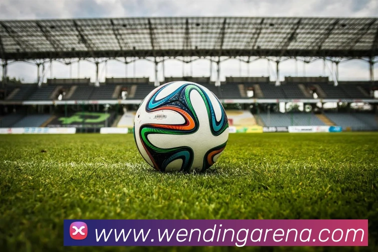 多媒体互动体验